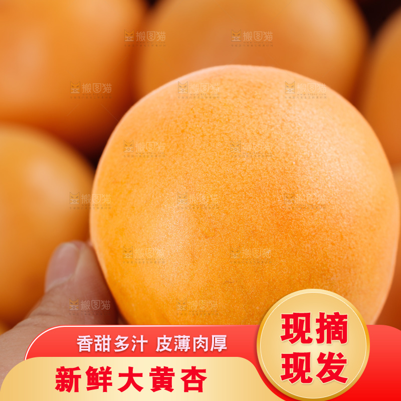 大黄杏
