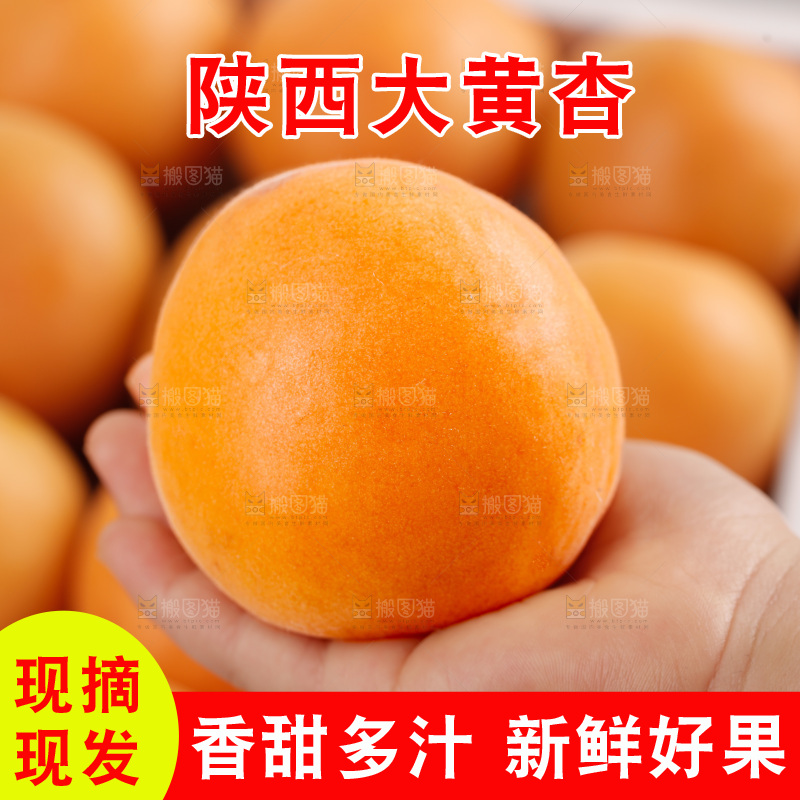 大黄杏