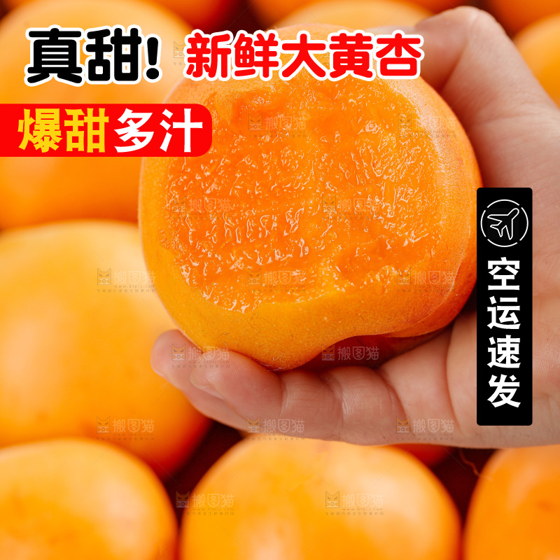 大黄杏