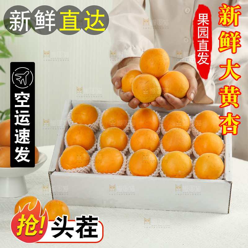 大黄杏