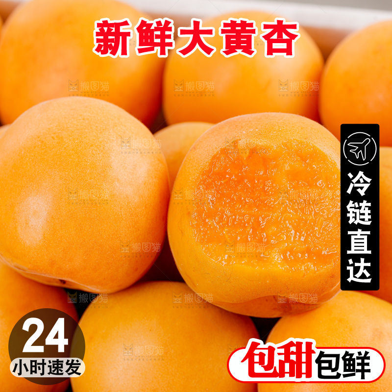 大黄杏