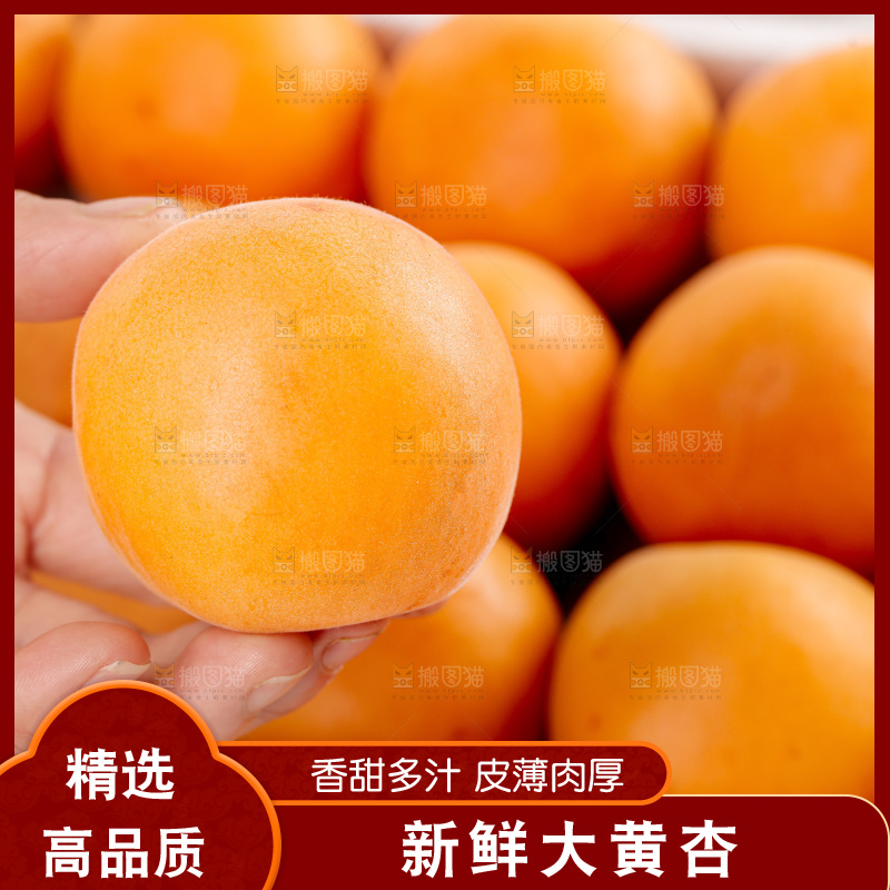 大黄杏