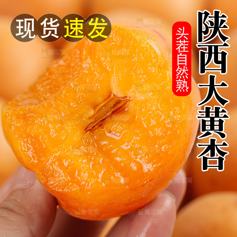 大黄杏