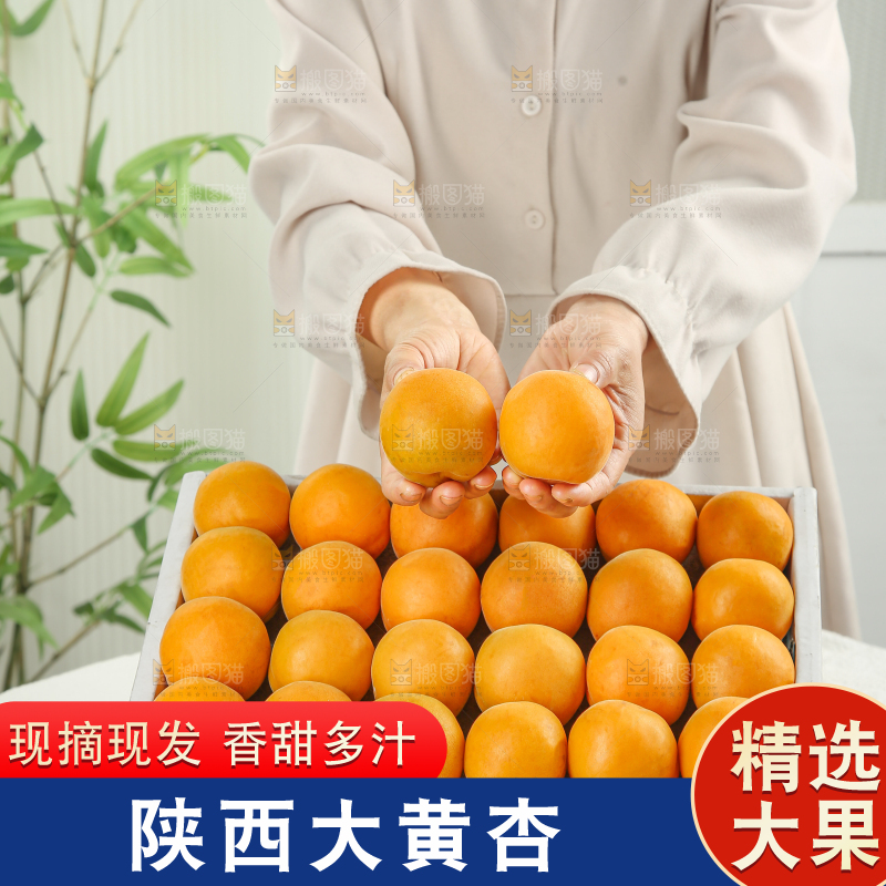 大黄杏