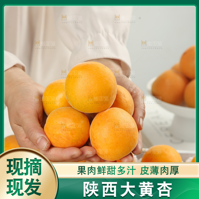 大黄杏