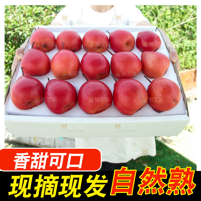 红啤梨