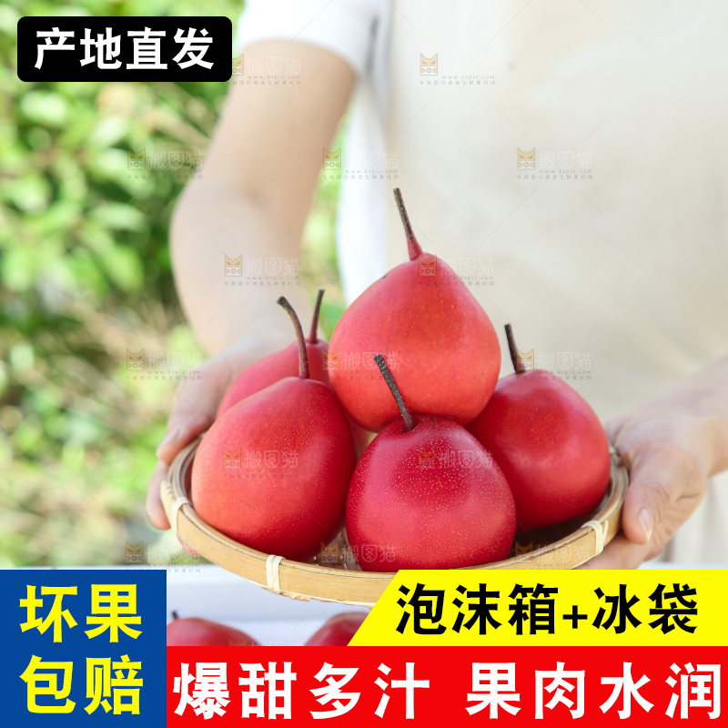 红啤梨