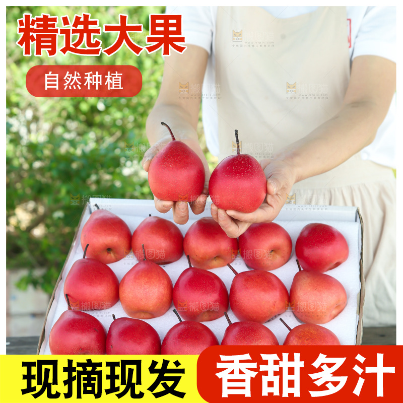 红啤梨