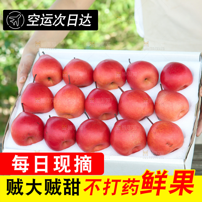 红啤梨