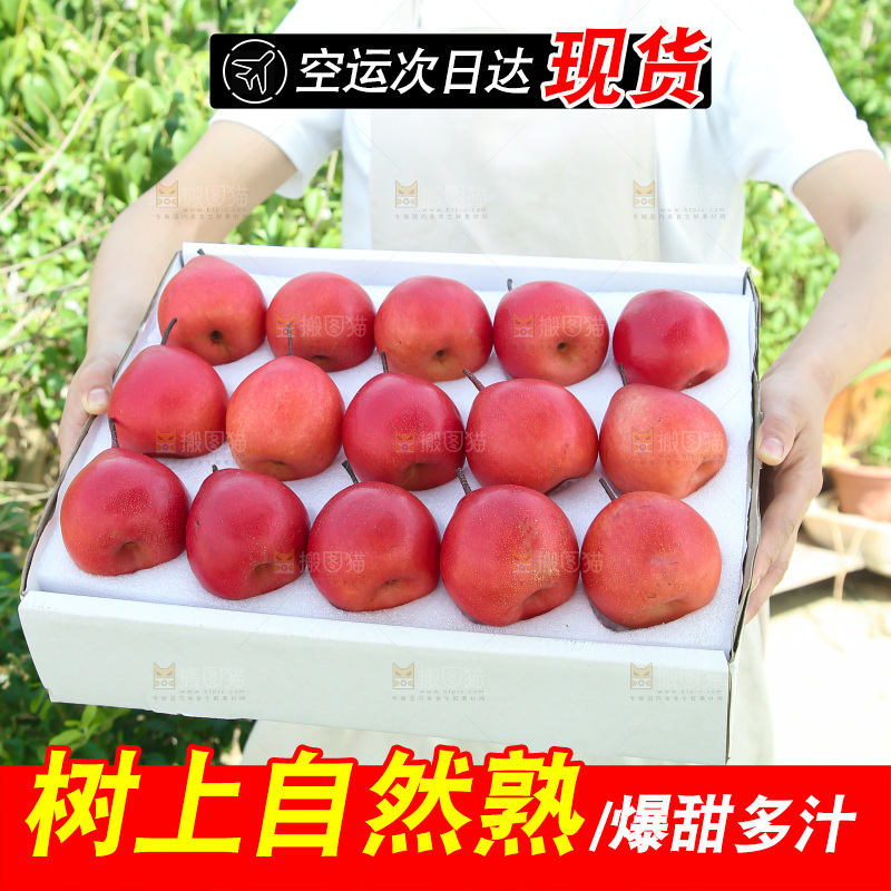 红啤梨