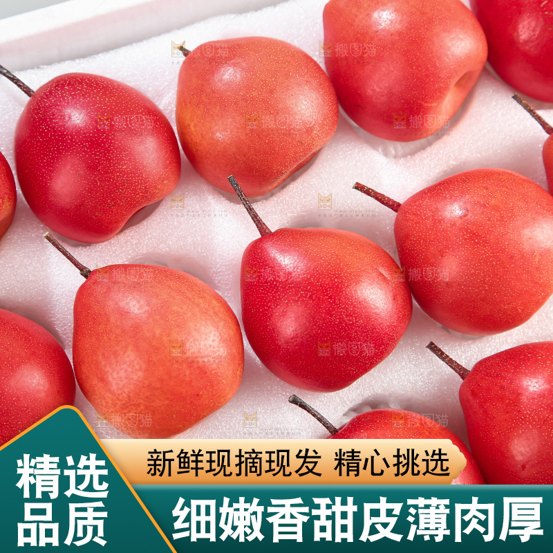 红啤梨
