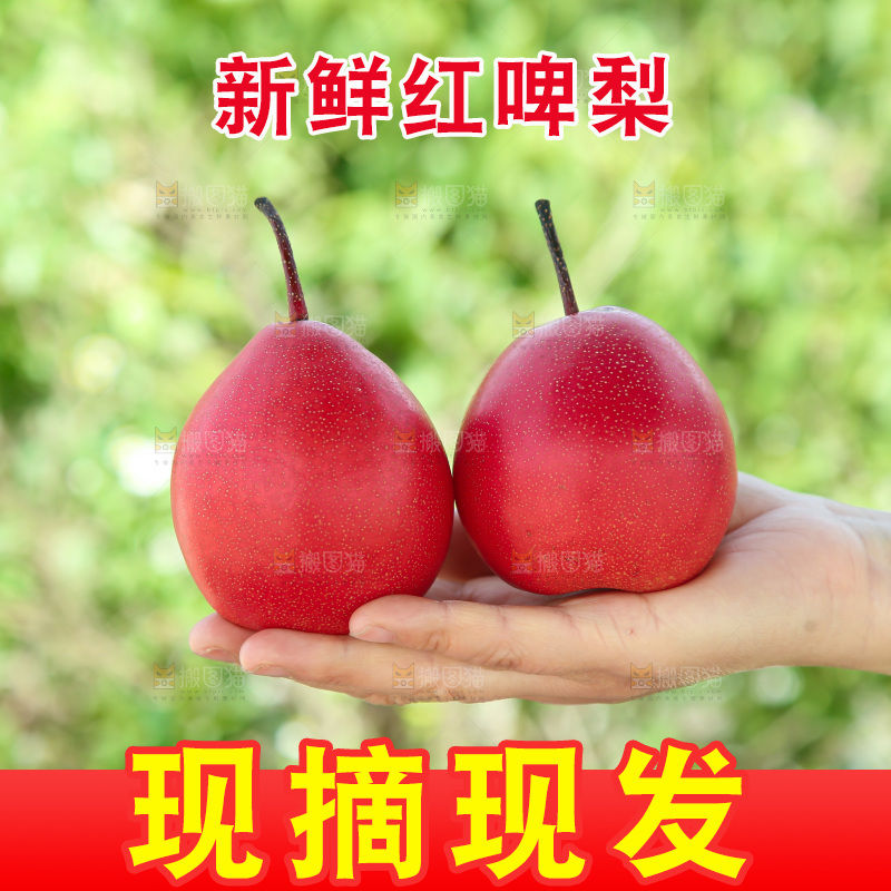 红啤梨
