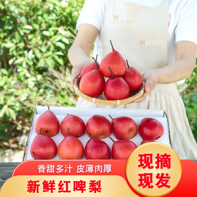 红啤梨
