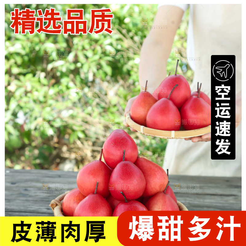 红啤梨