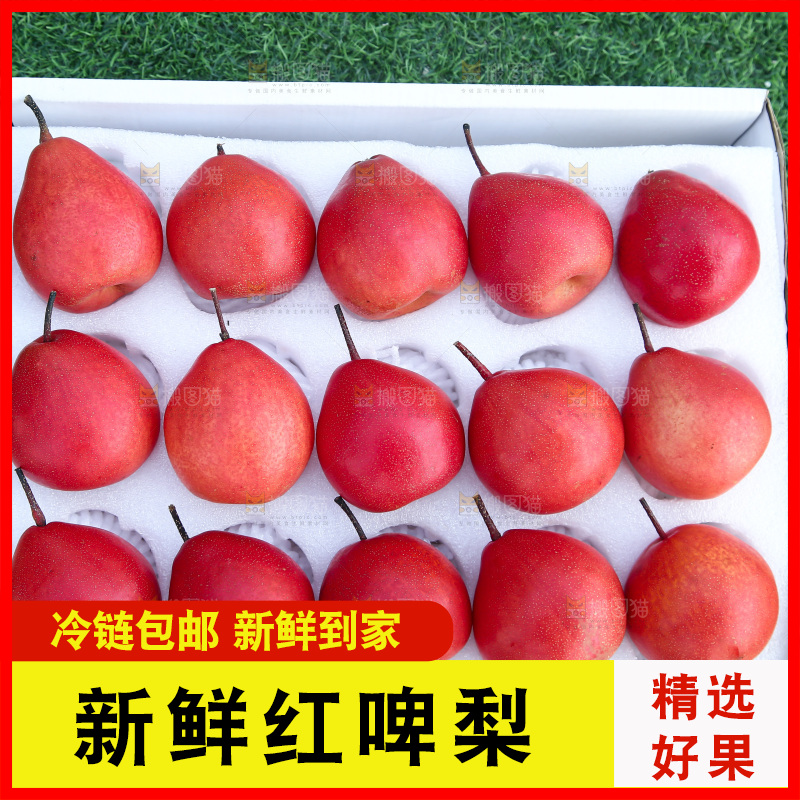 红啤梨