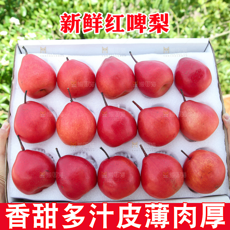 红啤梨
