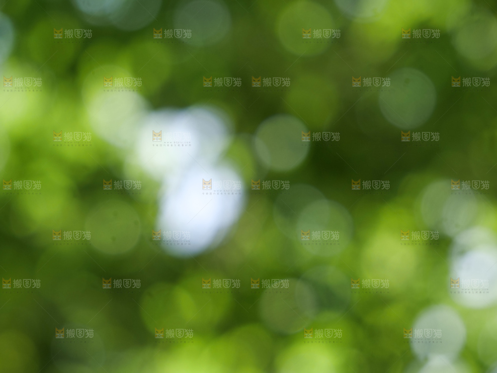 树林光晕