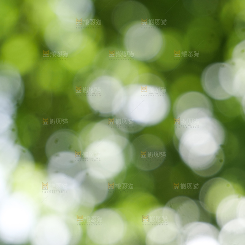 树林光晕