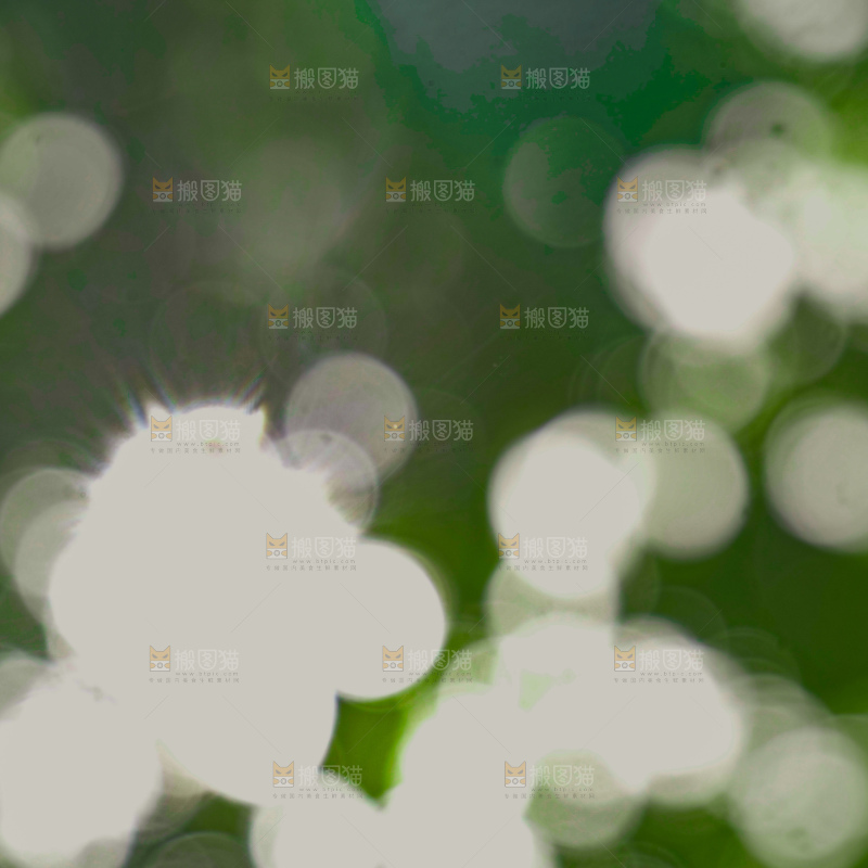 树林光晕