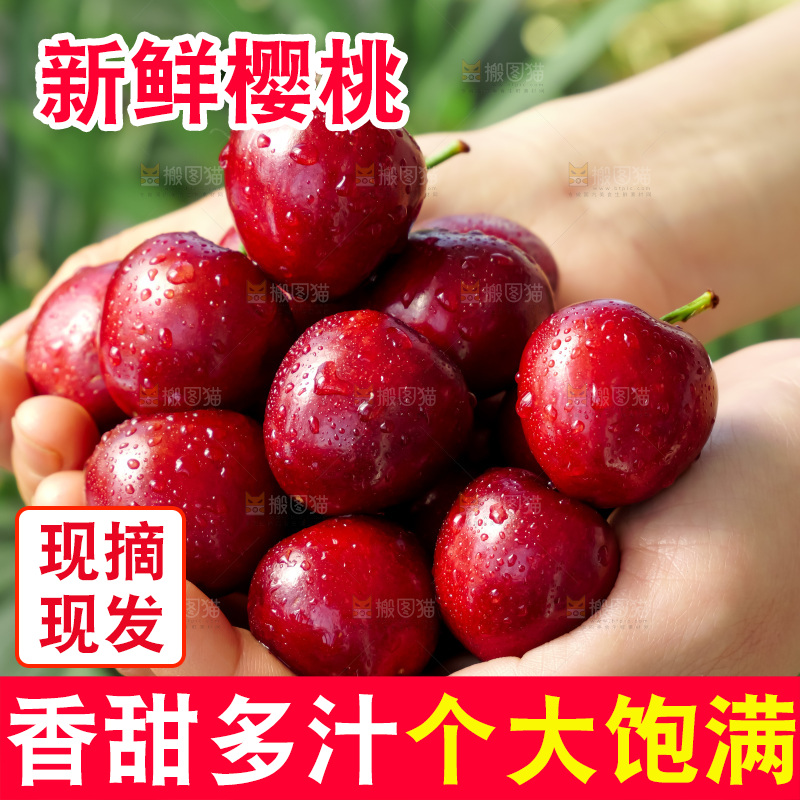 樱桃