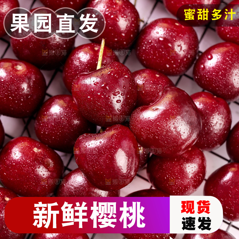 樱桃