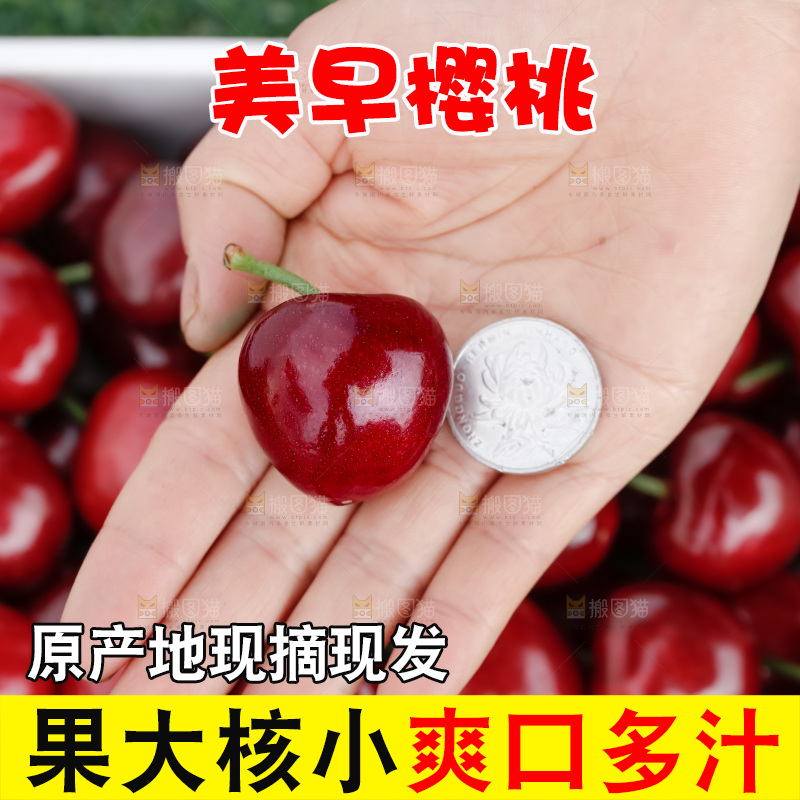 樱桃