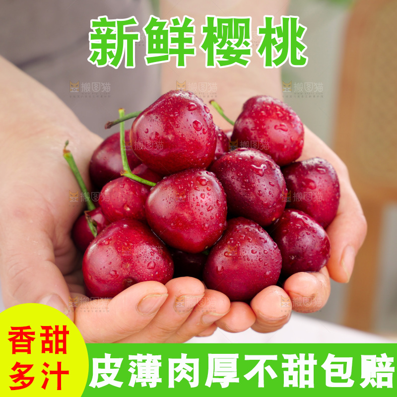 樱桃