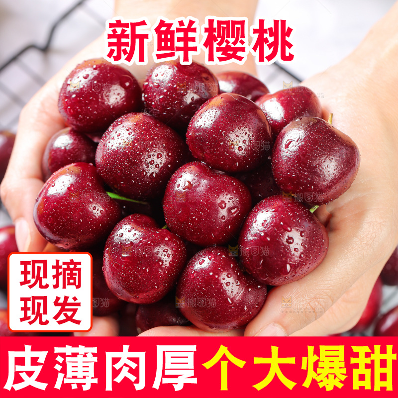樱桃