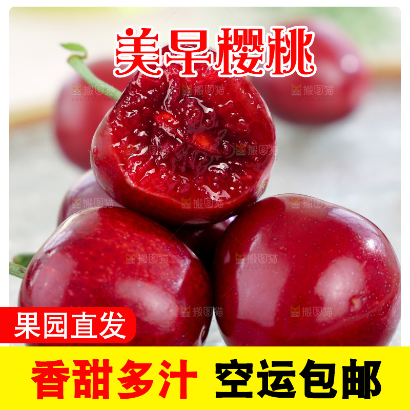 樱桃