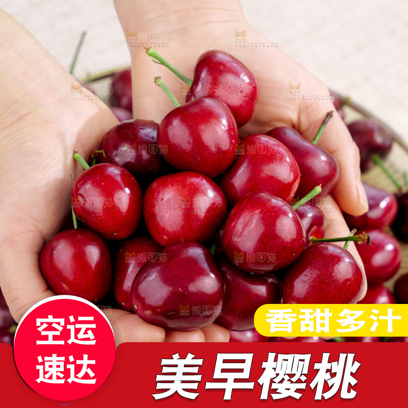 樱桃