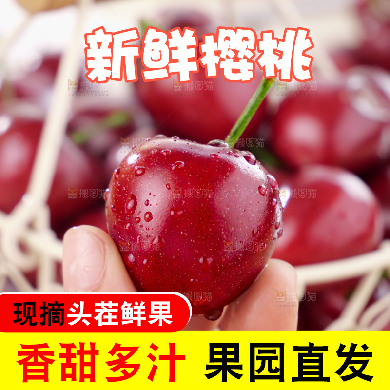 樱桃
