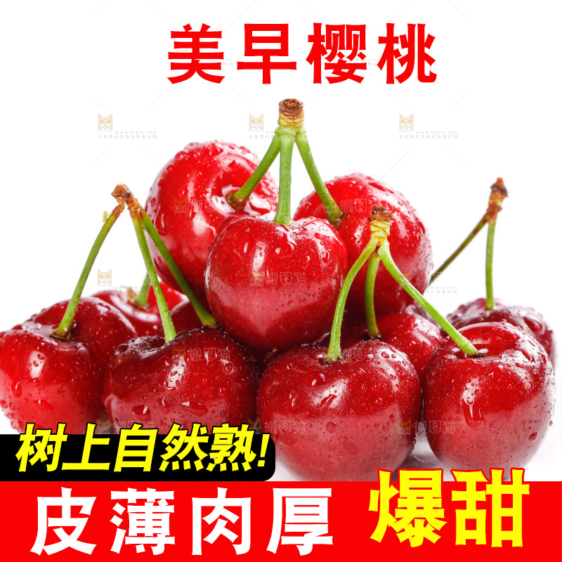 樱桃