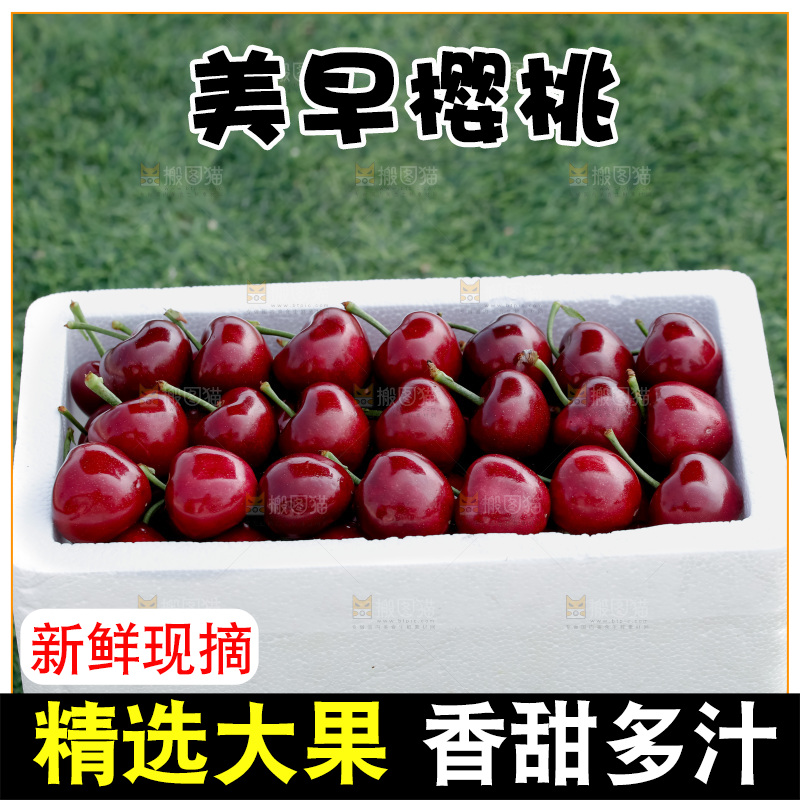 樱桃