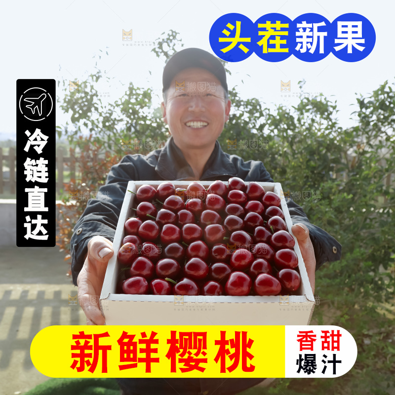 樱桃