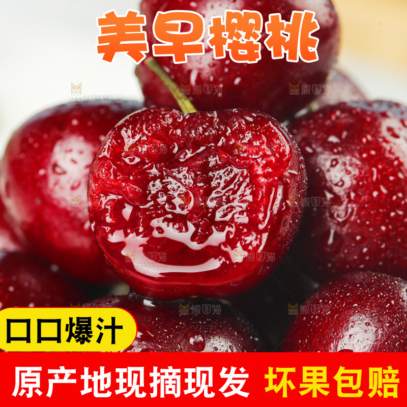 樱桃