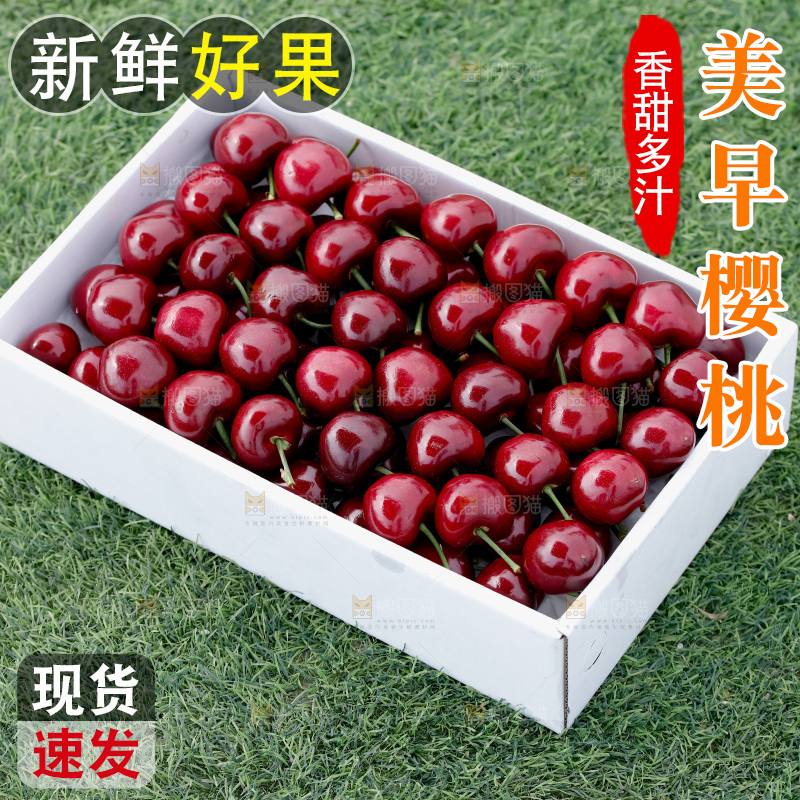 樱桃