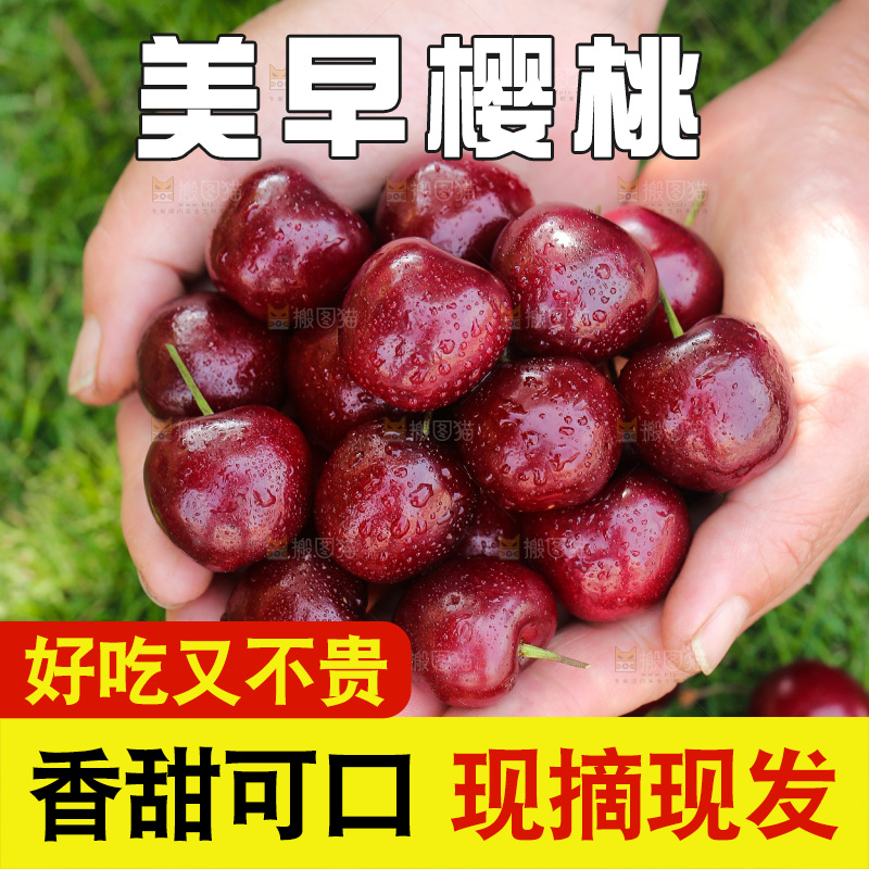 樱桃