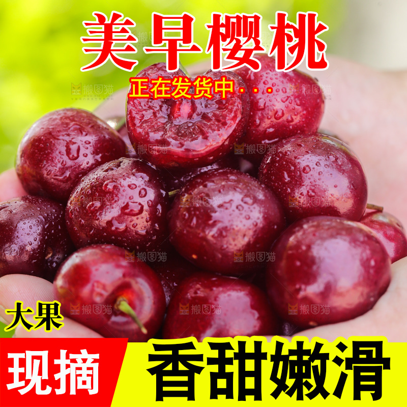 樱桃