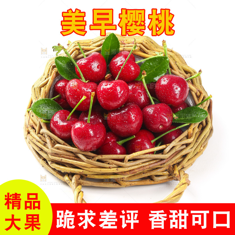 樱桃