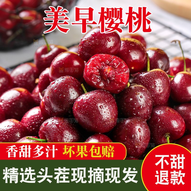 樱桃