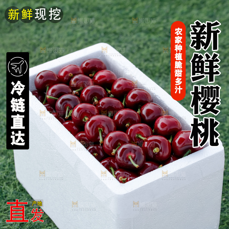 樱桃