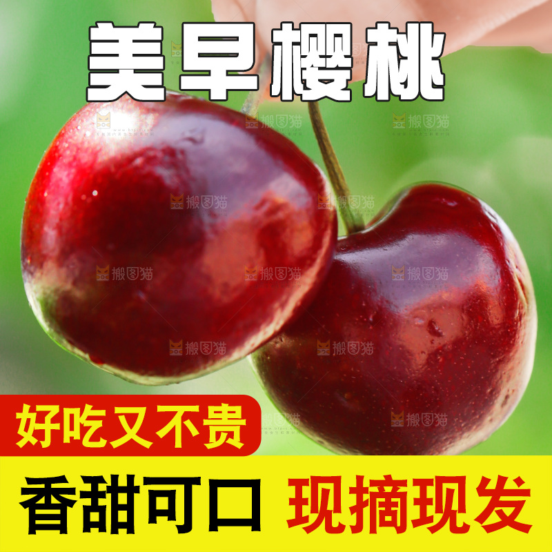 樱桃