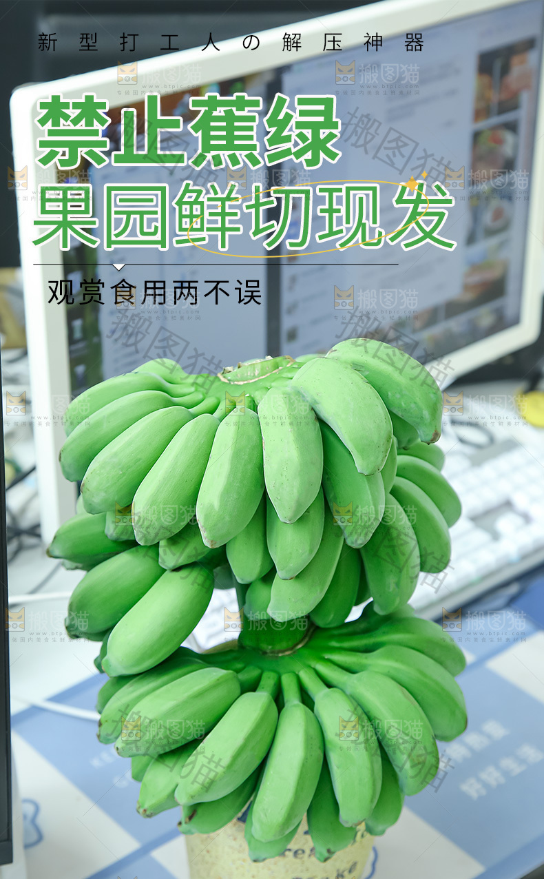 水培香蕉详情页