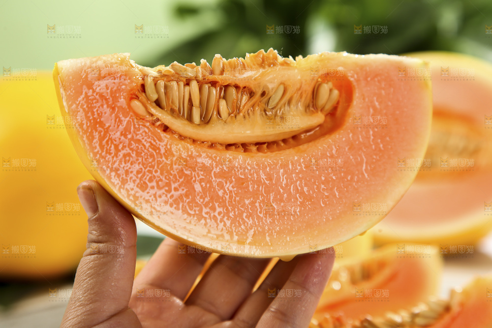 黄河蜜瓜