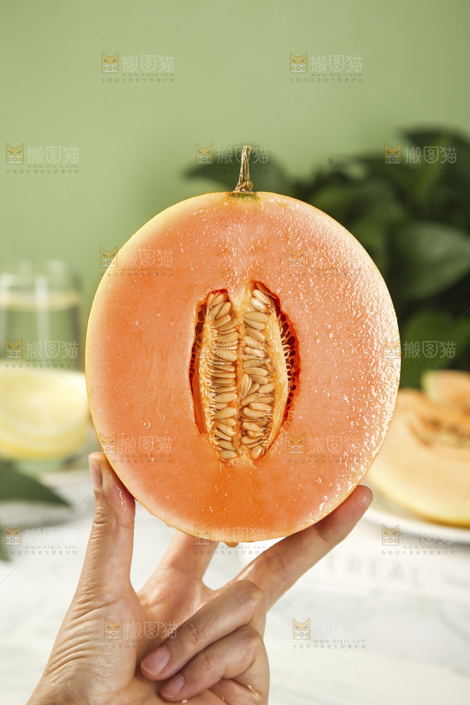 黄河蜜瓜