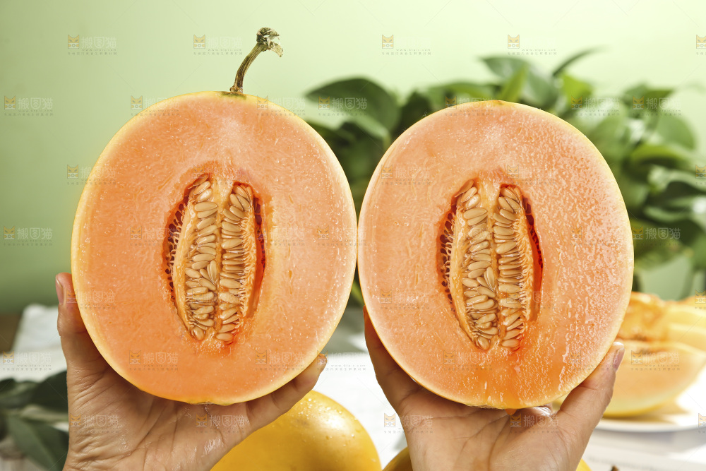 黄河蜜瓜