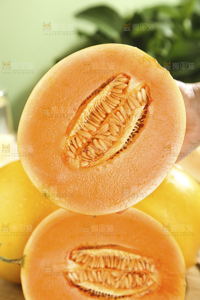 黄河蜜瓜