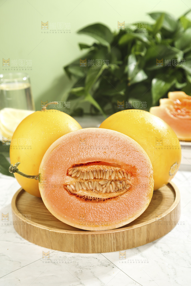 黄河蜜瓜