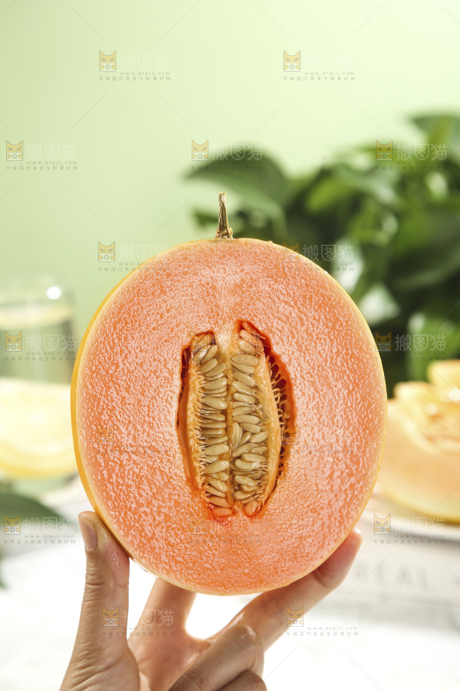 黄河蜜瓜