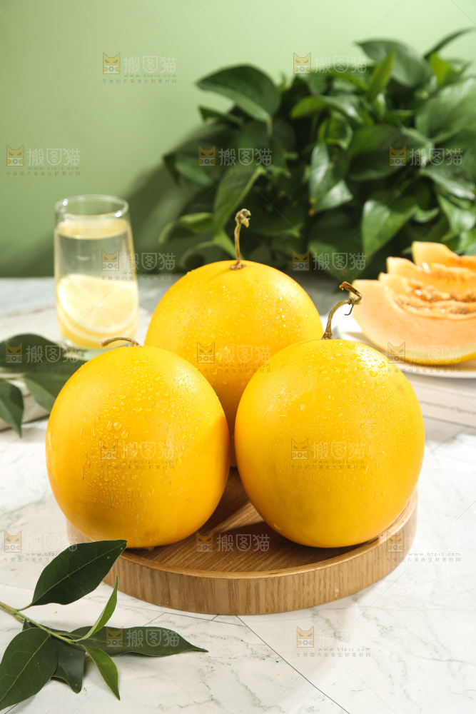 黄河蜜瓜
